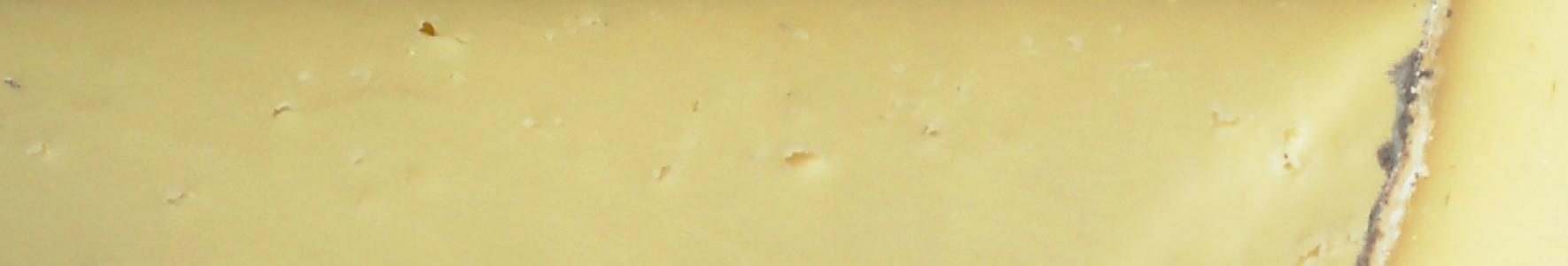 Cheddar & territorial style cheese