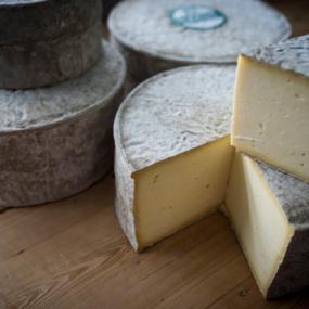 Caerphilly - Gorwydd cheese